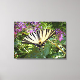 Scarce Swallowtail Butterfly Canvas afdrukken