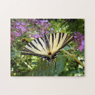 Scarce Swallowtail Butterfly Foto Puzzle Legpuzzel