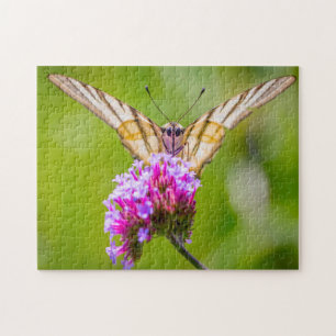 Scarce Swallowtail Butterfly. Legpuzzel