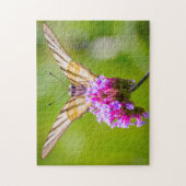 Scarce Swallowtail Butterfly. Legpuzzel (Verticaal)