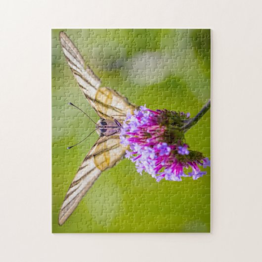 Scarce Swallowtail Butterfly. Legpuzzel (Verticaal)