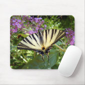 Scarce Swallowtail Butterfly Mouse Mouse Muismat (Met muis)
