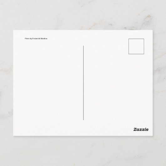 Scarecrow Briefkaart (Achterkant)