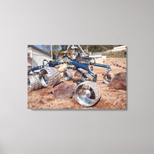 Scarecrow, een mobiliteitstestmodel canvas afdruk (Voorkant)