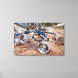 Scarecrow, een mobiliteitstestmodel canvas afdruk