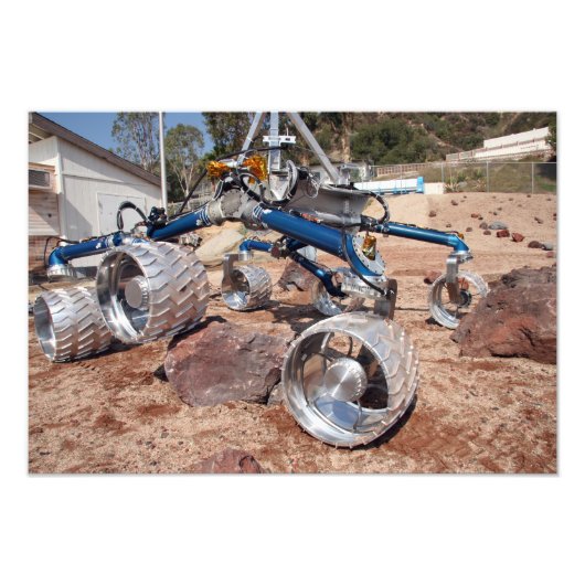 Scarecrow, een mobiliteitstestmodel foto afdruk (Voorkant)