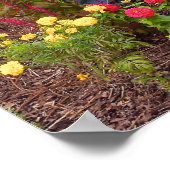 Scarecrow en herfst bloemen in Bok Tower Gardens F Poster (Hoek)