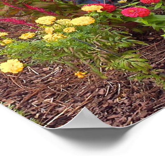 Scarecrow en herfst bloemen in Bok Tower Gardens F Poster (Hoek)