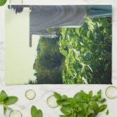 Scarecrow in tuinveld theedoek (Gevouwen)