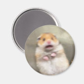 Scared Hamster Meme Magnet (Voorkant / Achterkant)