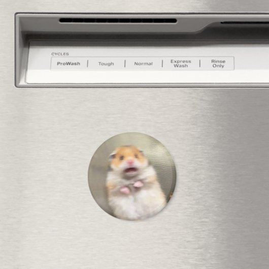 Scared Hamster Meme Magnet (Insitu (Vaatwasser))