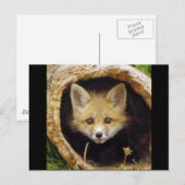 Scared Little Fox Briefkaart (Voorkant / Achterkant)