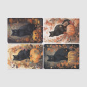 Scaredy Cat Tissuepapier (Voorkant)