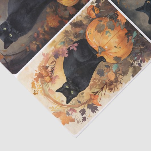 Scaredy Cat Tissuepapier (Detail)