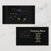 Scaredy Cats Visitekaartje (Voorkant / Achterkant)