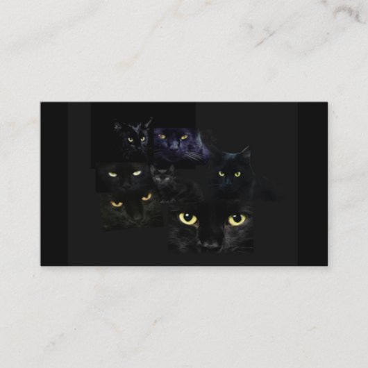 Scaredy Cats Visitekaartje (Voorkant)