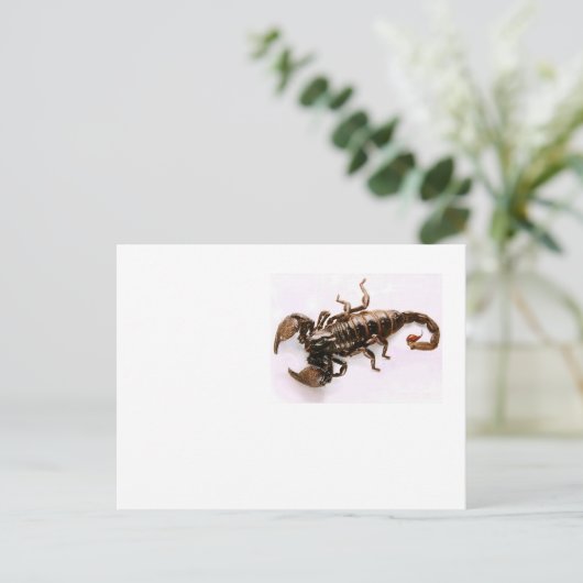 Scaremail briefkaart (Scorpion) (Staand voorkant)