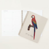 Scarlacroodara of Blauw-gele Ara, Ara macao Planner (Display)