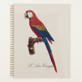 Scarlacroodara of Blauw-gele Ara, Ara macao Planner (Voorkant)