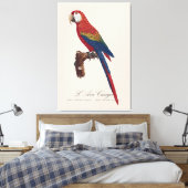 Scarlacroodara of Blauwgele Ara, Ara macao Canvas Afdruk (Insitu (Slaapkamer))