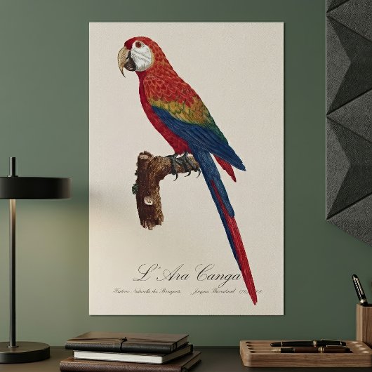 Scarlacroodara of Blauwgele Ara, Ara macao Poster