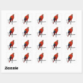 Scarlet Ara Vierkante Sticker (Vel)