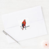 Scarlet Ara Vierkante Sticker (Envelop)