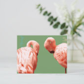Scarlet Flamingo Briefkaart (Staand voorkant)