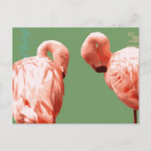 Scarlet Flamingo Briefkaart (Voorkant)