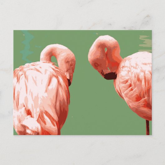 Scarlet Flamingo Briefkaart (Voorkant)