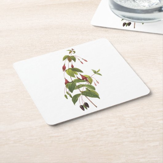 scarlet fuchsia (Fuchsia coccinea) door Redouté Kartonnen Onderzetters (Schuin)