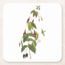 scarlet fuchsia (Fuchsia coccinea) door Redouté Kartonnen Onderzetters