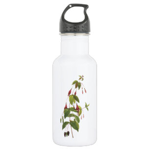 scarlet fuchsia (Fuchsia coccinea) door Redouté Waterfles