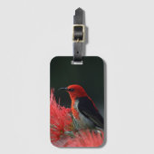 Scarlet honeyater Exotic Bird Bagagelabel (Voorkant (verticaal))