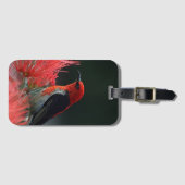 Scarlet honeyater Exotic Bird Bagagelabel (Voorkant (horizontaal))