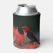 Scarlet honeyater Exotic Bird Blikjeskoeler (Blikje Voorkant)