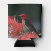 Scarlet honeyater Exotic Bird Blikjeskoeler (Voorkant)