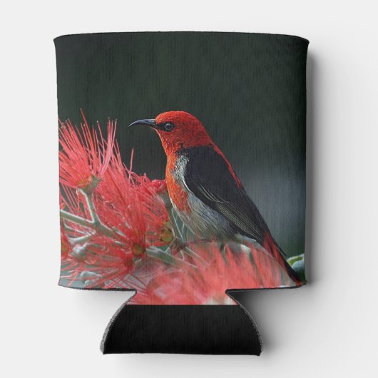 Scarlet honeyater Exotic Bird Blikjeskoeler (Achterkant)