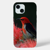 Scarlet honeyater Exotic Bird Case-Mate iPhone Case (Achterkant)
