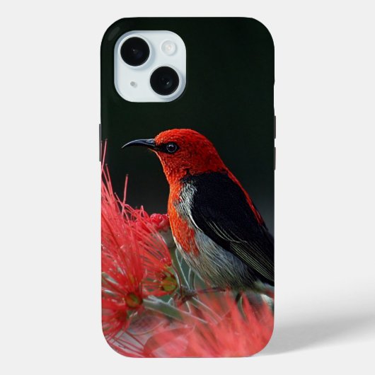 Scarlet honeyater Exotic Bird Case-Mate iPhone Case (Achterkant)