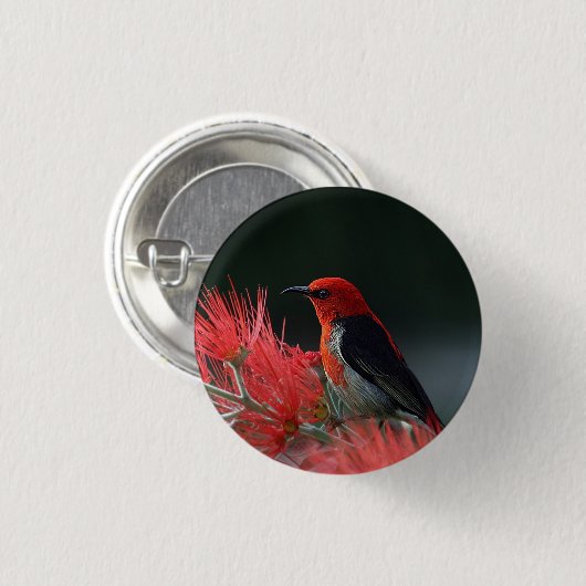 Scarlet honeyater Exotic Bird Ronde Button 3,2 Cm (Voorkant /achterkant)