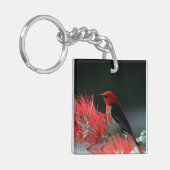 Scarlet honeyater Exotic Bird Sleutelhanger (Voorkant Links)
