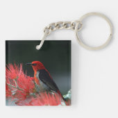 Scarlet honeyater Exotic Bird Sleutelhanger (Achterkant)
