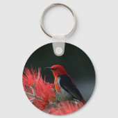 Scarlet honeyater Exotic Bird Sleutelhanger (Voorkant)