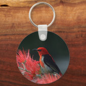 Scarlet honeyater Exotic Bird Sleutelhanger (Voorkant)