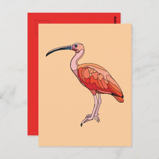 Scarlet Ibis Bird Briefkaart (Voorkant / Achterkant)