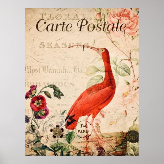  Scarlet Ibis Bird Frans Floral Poster (Voorkant)