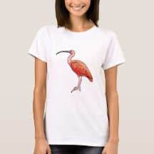 Scarlet Ibis Bird
