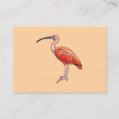 Scarlet Ibis Bird Visitekaartje (Voorkant)