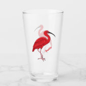 Scarlet ibis cartoon illustratie glas (Voorkant)
